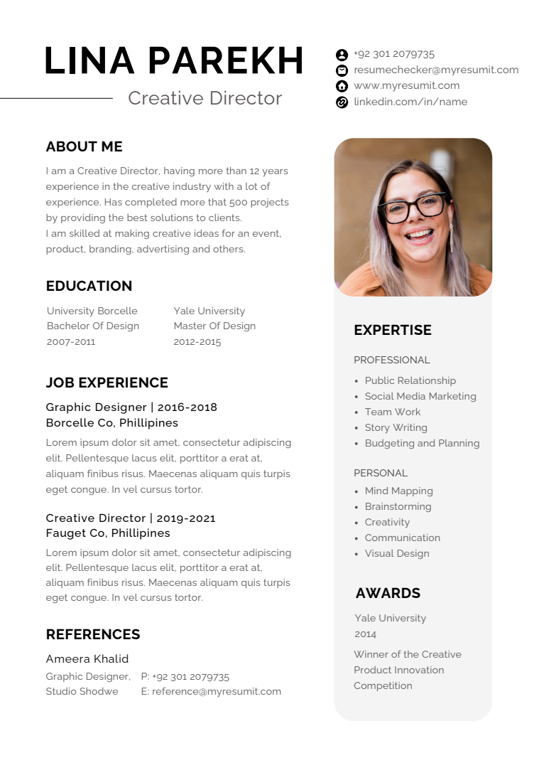 Template 3 resume template preview