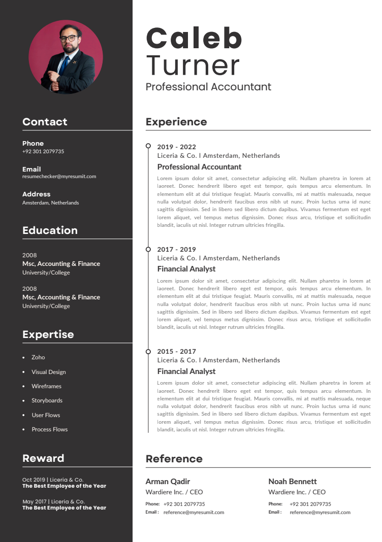 Template 5 resume template preview