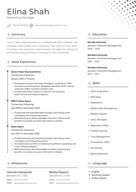 Template 10 resume template preview