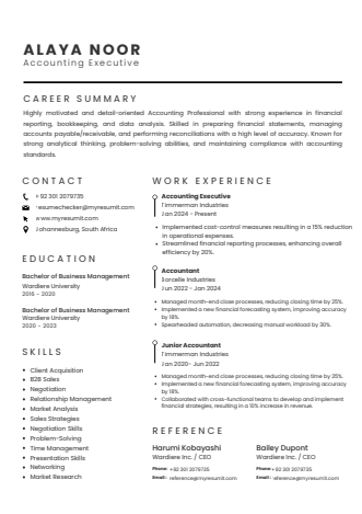 Template 11 resume template preview
