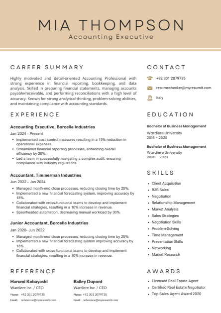 Template 12 resume template preview