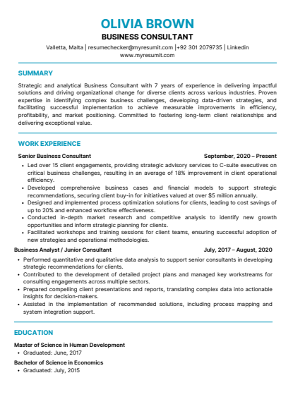 Template 13 resume template preview