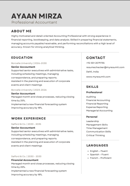 Template 14 resume template preview